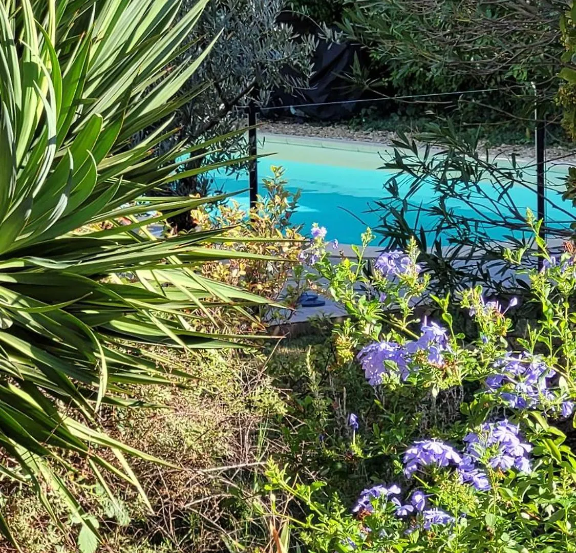 Mas Des Marguerites Bed & Breakfast Maussane-les-Alpilles